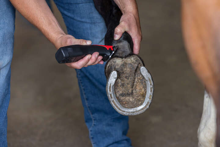 AESCULAP Akkuschermaschine Favorita CLi